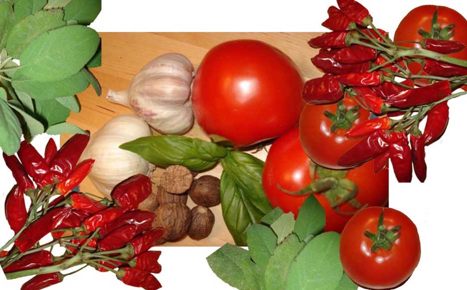 frische Bio Zutaten f&uuml;r leckere Gerichte